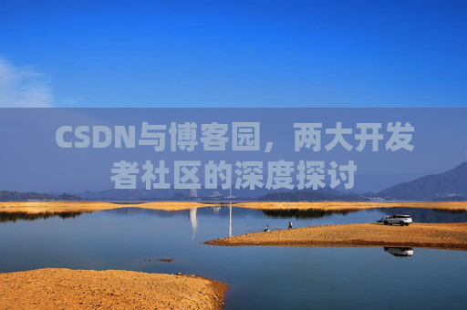 CSDN与博客园，两大开发者社区的深度探讨
